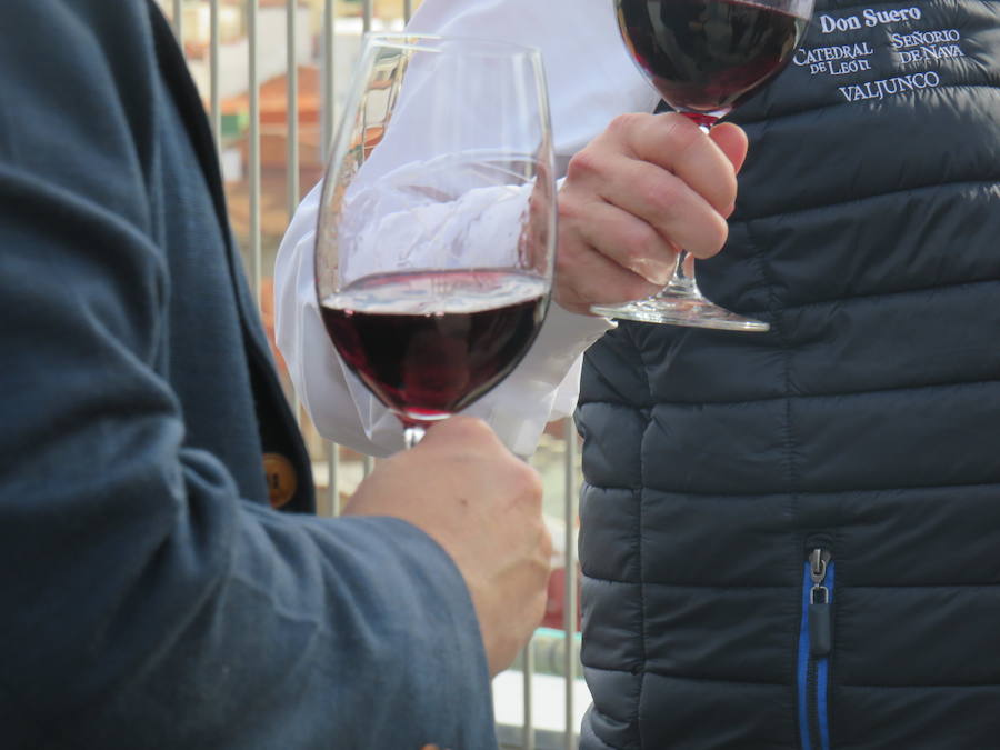 Fotos: Un nuevo vino en el mercado leonés, el Don Suero Roble