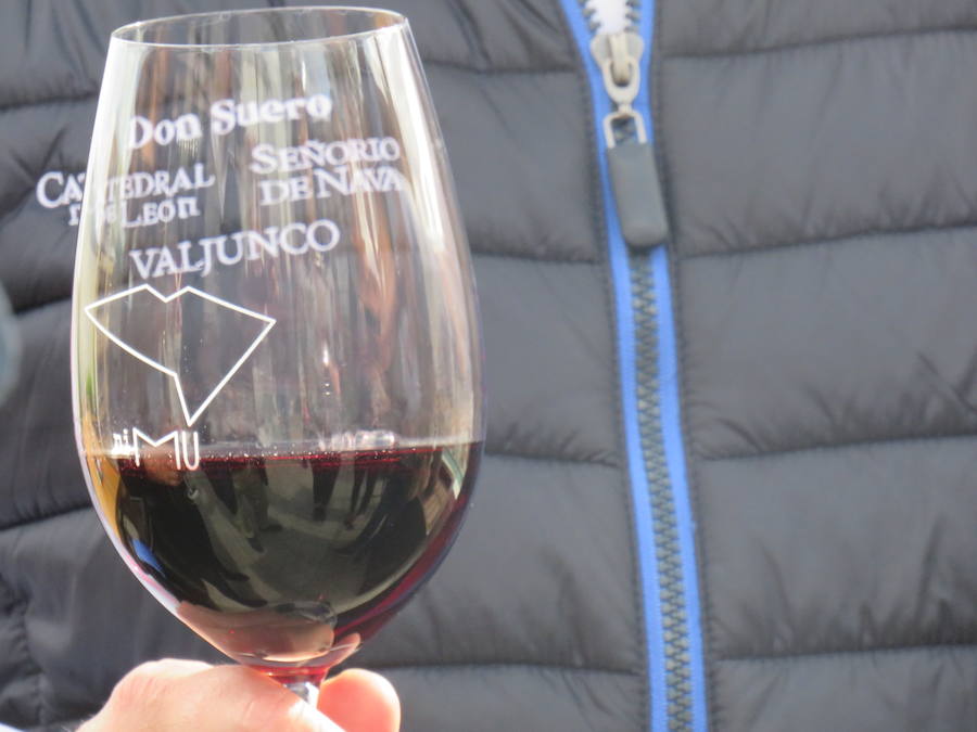 Fotos: Un nuevo vino en el mercado leonés, el Don Suero Roble
