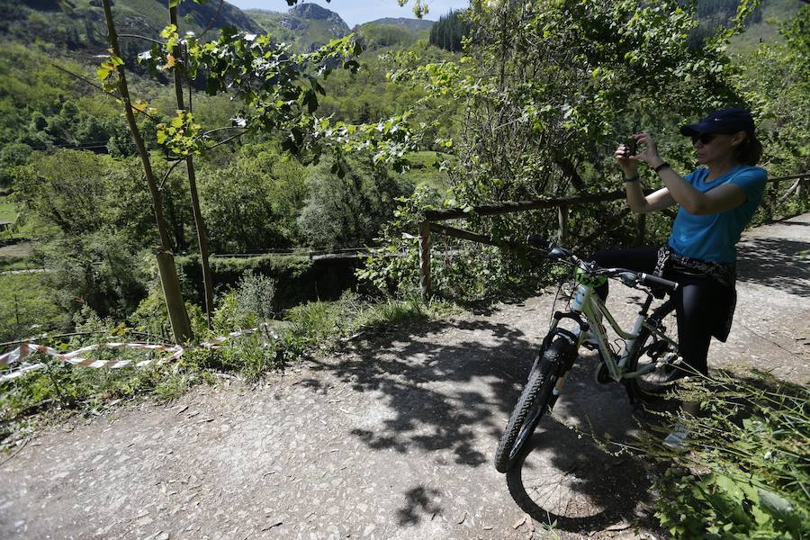 Un ciclista ha perdido la vida en un accidente en la Senda del Oso, en Proaza. El hombre se precipitó desde una altura de unos veinte metros sobre la carretera AS-228. 