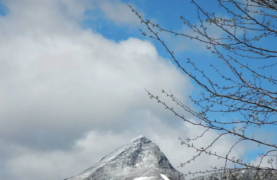 La nieve ha vuelto a la zona norte de la provincia en la antesala de un descenso generalizado de las temperaturas previsto para este jueves.