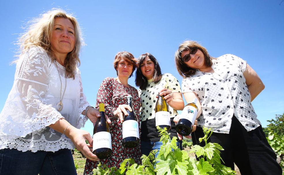Eva Blanco, de Bodegas Estefanía, María José Alba, de Bodegas Godelia, Elena García, de Bodegas Valtuille, y Ada Prada de Bodegas Mencía de 2, organizadoras del evento 'Godello&Ostra', que se celebra en Cacabelos. 