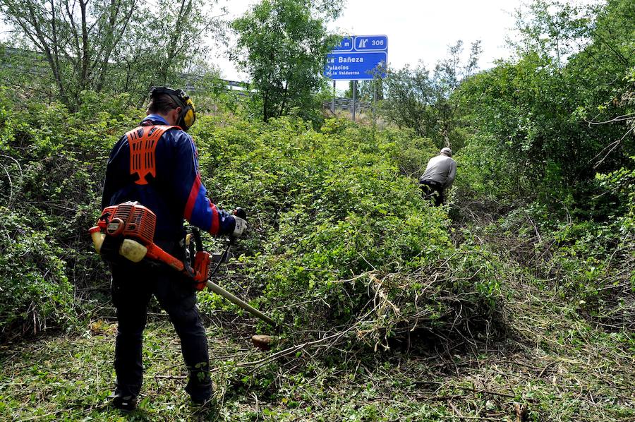 Fotos: Concluye la recuperación del tramo Palacios-La Bañeza de la calzada romana que unía Astorga y Zaragoza