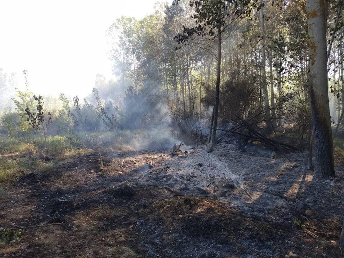 Fotos: Incendio forestal en Sardonedo