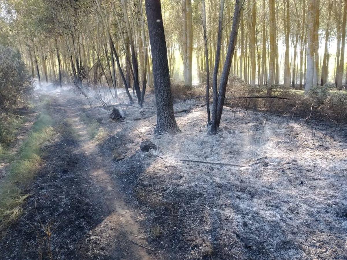 Fotos: Incendio forestal en Sardonedo