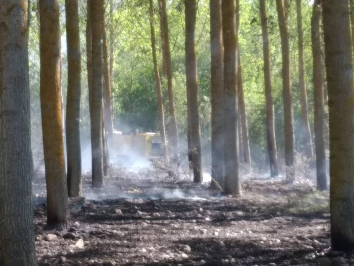 Fotos: Incendio forestal en Sardonedo