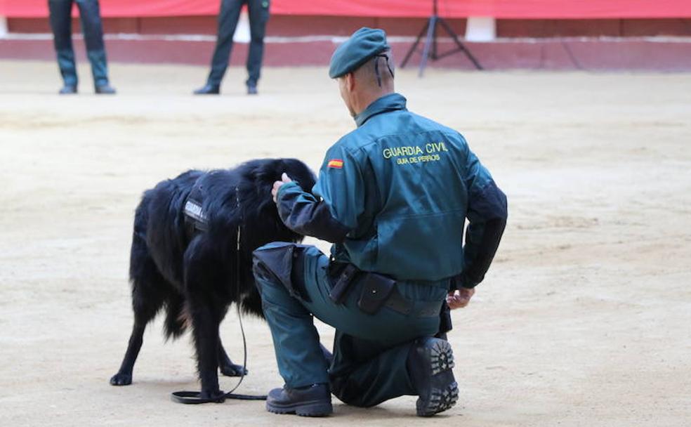 Actuación de los agentes en la plaza de toros.