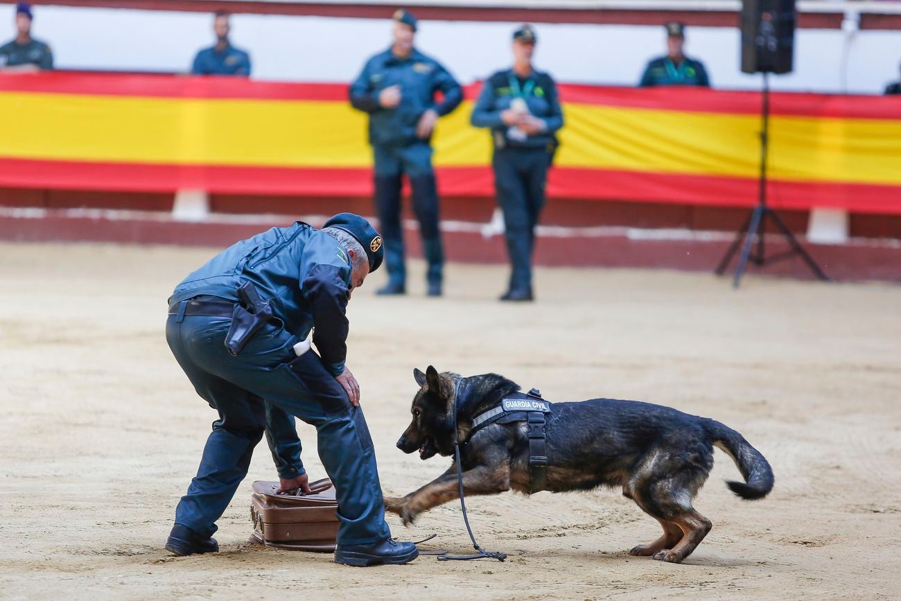 La delegada del Gobierno, Mercedes Martín, visita una exposición de las diversas unidades y especialidades con las que cuenta la Guardia Civil en la Comunidad Autónoma