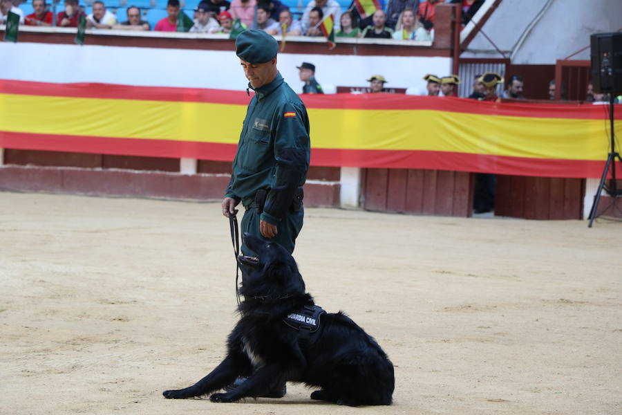 Fotos: Exhibición de la Guardia Civil en León