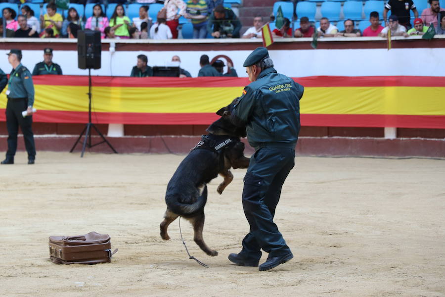 Fotos: Exhibición de la Guardia Civil en León