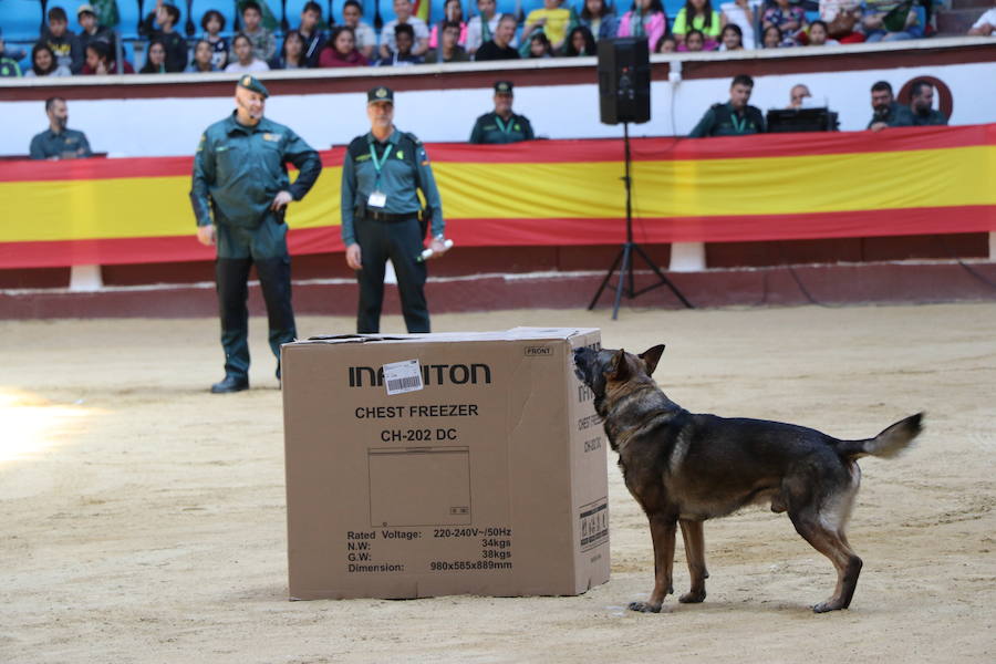 Fotos: Exhibición de la Guardia Civil en León