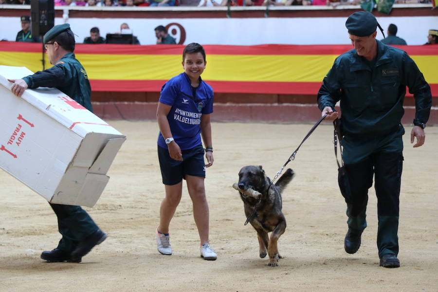 Fotos: Exhibición de la Guardia Civil en León