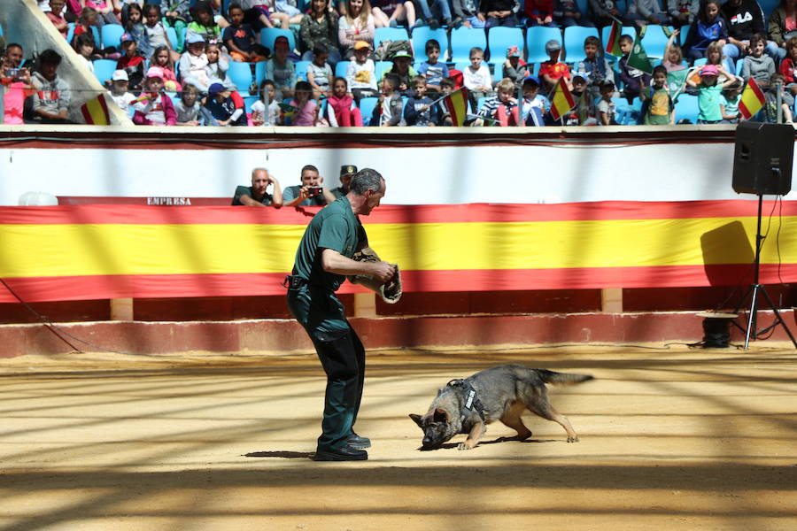 Fotos: Exhibición de la Guardia Civil en León