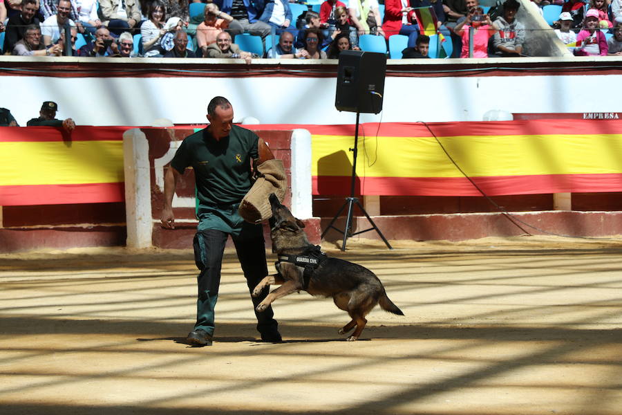 Fotos: Exhibición de la Guardia Civil en León