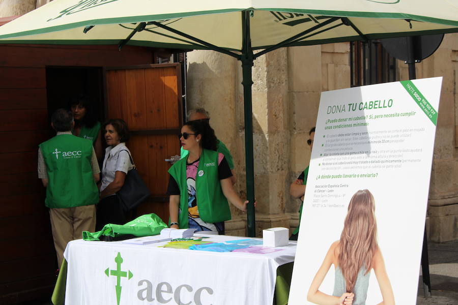 La céntrica plaza de San Marcelo se ha convertido en la jornada del domingo en un improvisado salón de belleza, en el que peluqueros, barberos, tatuadores, maquilladores y masajistas se han puesto a trabajar bajo la iniciativa 'León te corta' promovida por Víctor Valín en favor de la AECC