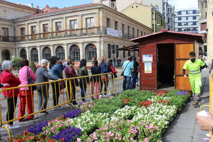 Fotos: Flores, por un planeta mejor