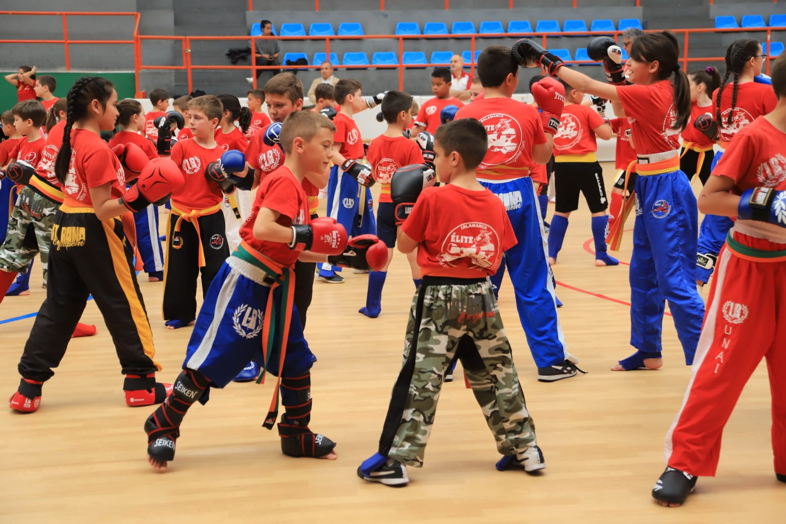 Graduación del Kickboxing salmantino. 150 jóvenes deportistas han participado de este deporte.