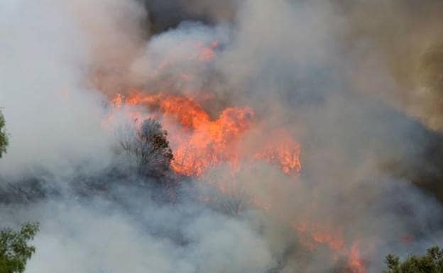 Incendio sufrido en León.