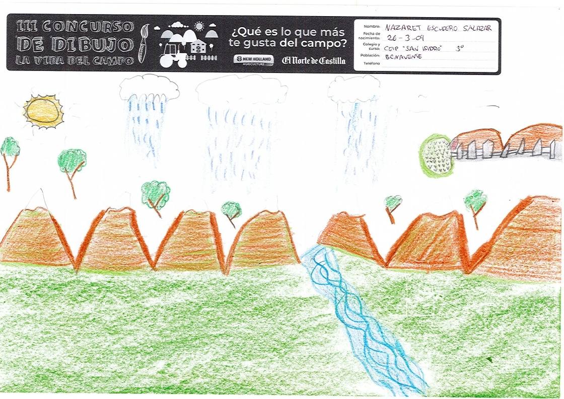 Fotos: Trabajos de 3º de Primaria en la modalidad de dibujo del III Concurso de Dibujo y Cómic &#039;La vida del campo&#039;