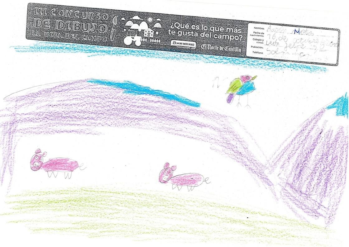 Fotos: Trabajos de 3º de Primaria en la modalidad de dibujo del III Concurso de Dibujo y Cómic &#039;La vida del campo&#039;