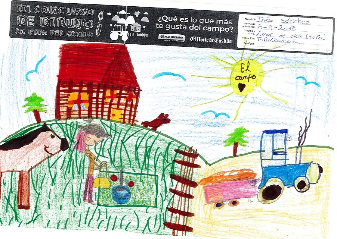 Fotos: Trabajos de 3º de Primaria en la modalidad de dibujo del III Concurso de Dibujo y Cómic &#039;La vida del campo&#039;