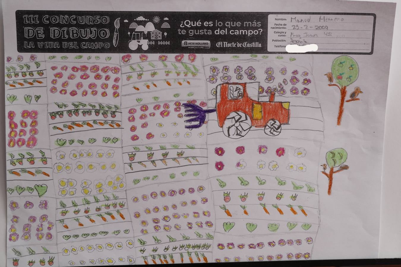 Fotos: Trabajos de 4º de Primaria en la modalidad de dibujo del III Concurso de Dibujo y Cómic &#039;La vida del campo&#039;