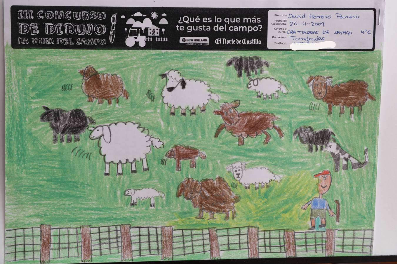 Fotos: Trabajos de 4º de Primaria en la modalidad de dibujo del III Concurso de Dibujo y Cómic &#039;La vida del campo&#039;