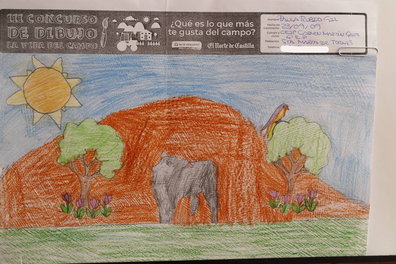 Fotos: Trabajos de 4º de Primaria en la modalidad de dibujo del III Concurso de Dibujo y Cómic &#039;La vida del campo&#039;