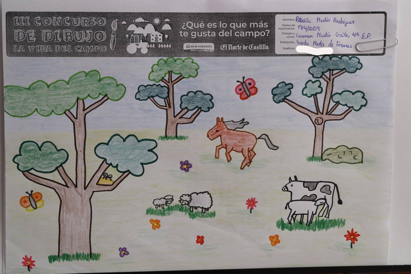 Fotos: Trabajos de 4º de Primaria en la modalidad de dibujo del III Concurso de Dibujo y Cómic &#039;La vida del campo&#039;