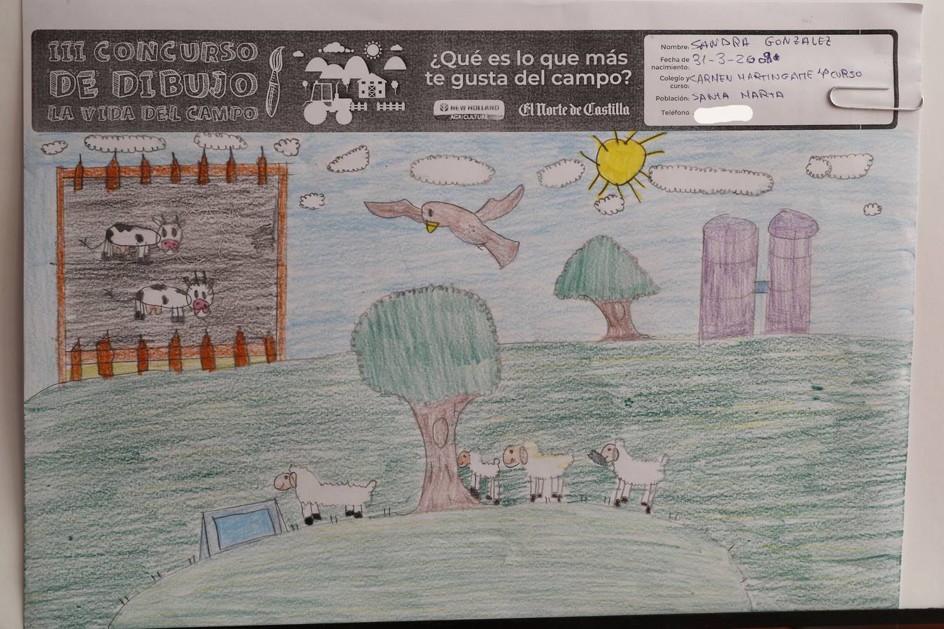 Fotos: Trabajos de 4º de Primaria en la modalidad de dibujo del III Concurso de Dibujo y Cómic &#039;La vida del campo&#039;