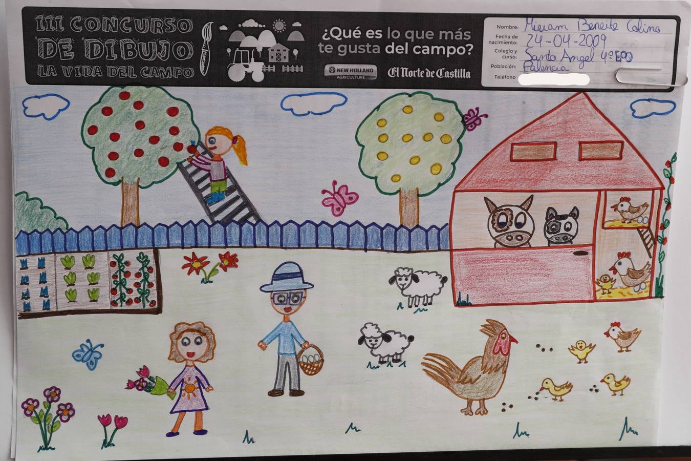 Fotos: Trabajos de 4º de Primaria en la modalidad de dibujo del III Concurso de Dibujo y Cómic &#039;La vida del campo&#039;