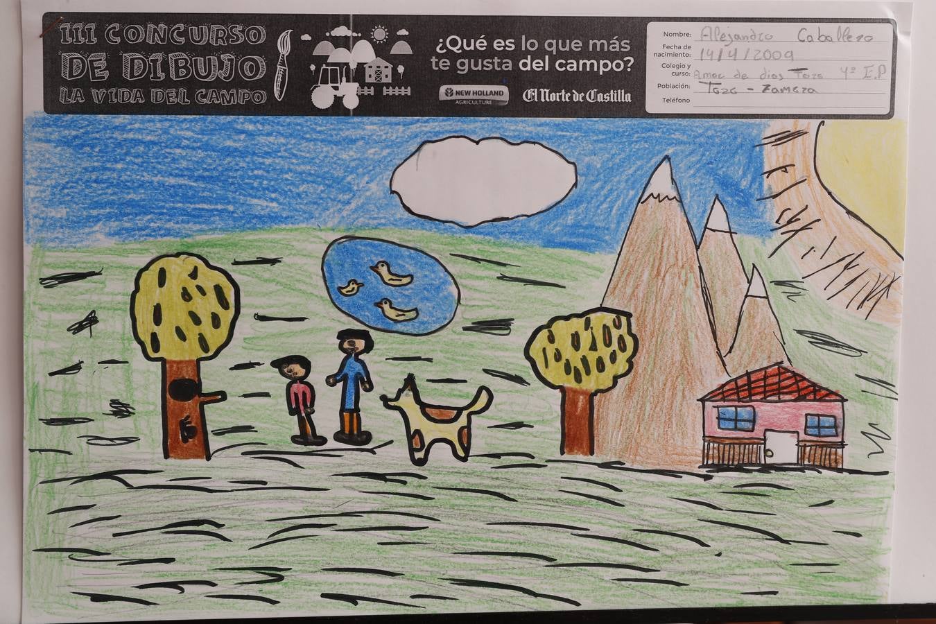 Fotos: Trabajos de 4º de Primaria en la modalidad de dibujo del III Concurso de Dibujo y Cómic &#039;La vida del campo&#039;