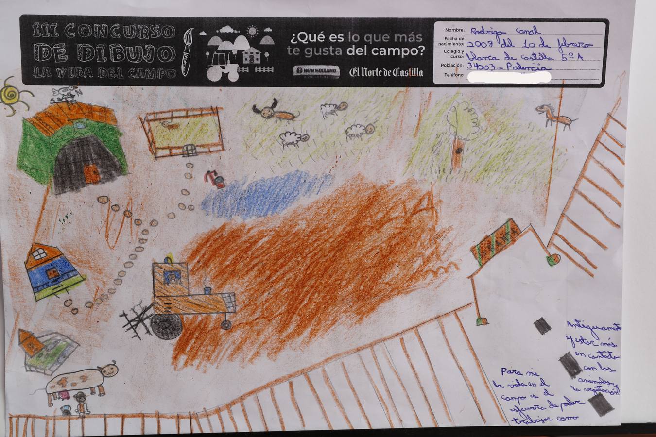 Fotos: Trabajos de 5º de Primaria en la modalidad de dibujo del III Concurso de Dibujo y Cómic &#039;La vida del campo&#039;