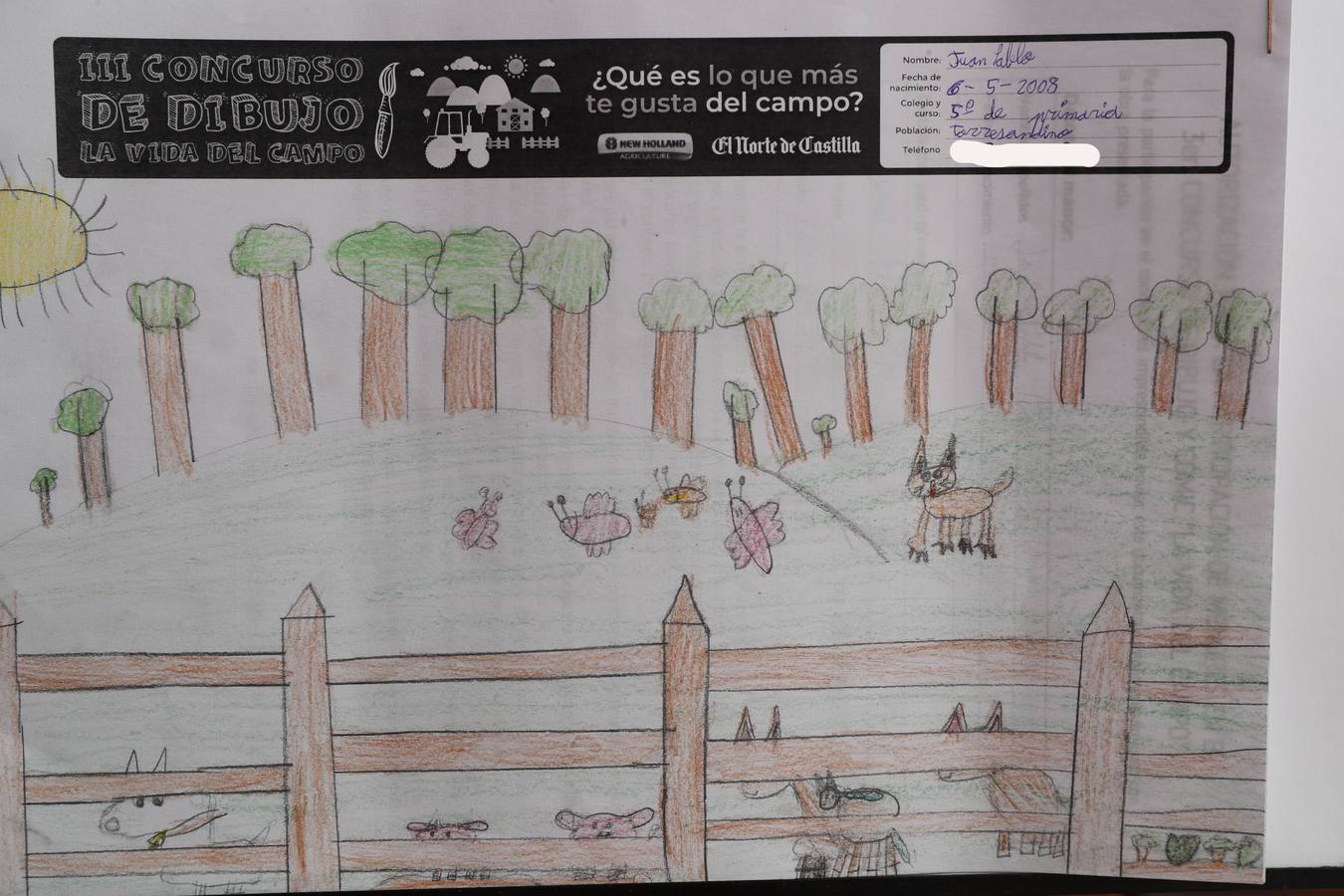 Fotos: Trabajos de 5º de Primaria en la modalidad de dibujo del III Concurso de Dibujo y Cómic &#039;La vida del campo&#039;