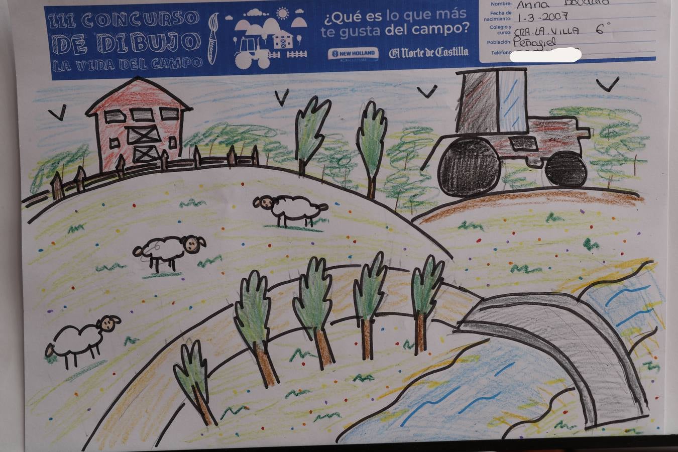 Fotos: Trabajos de 6º de Primaria en la modalidad de dibujo del III Concurso de Dibujo y Cómic &#039;La vida del campo&#039;