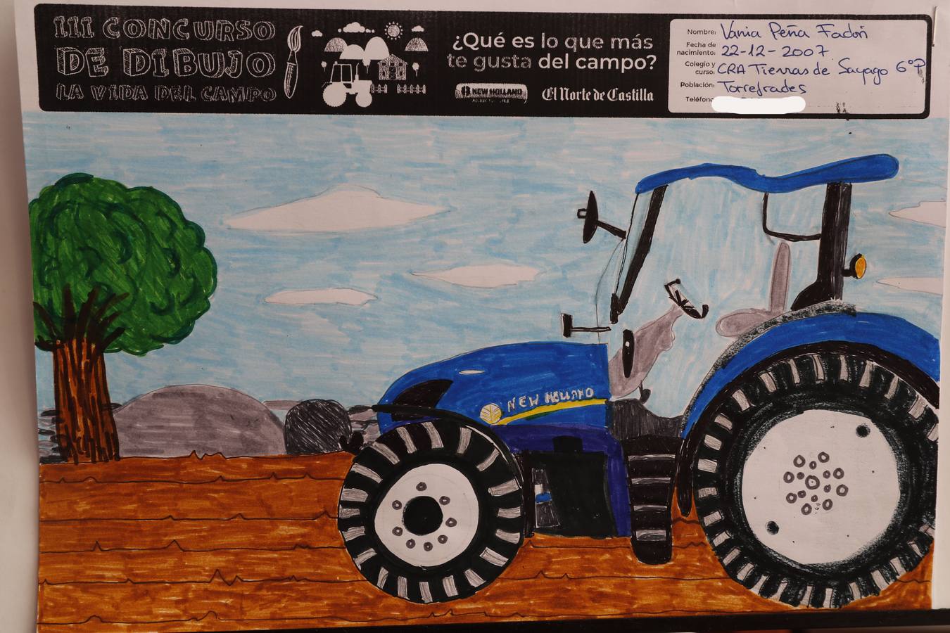 Fotos: Trabajos de 6º de Primaria en la modalidad de dibujo del III Concurso de Dibujo y Cómic &#039;La vida del campo&#039;