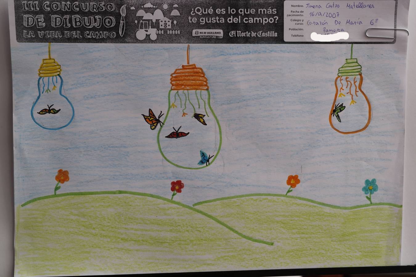 Fotos: Trabajos de 6º de Primaria en la modalidad de dibujo del III Concurso de Dibujo y Cómic &#039;La vida del campo&#039;