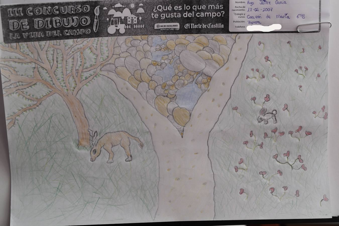 Fotos: Trabajos de 6º de Primaria en la modalidad de dibujo del III Concurso de Dibujo y Cómic &#039;La vida del campo&#039;