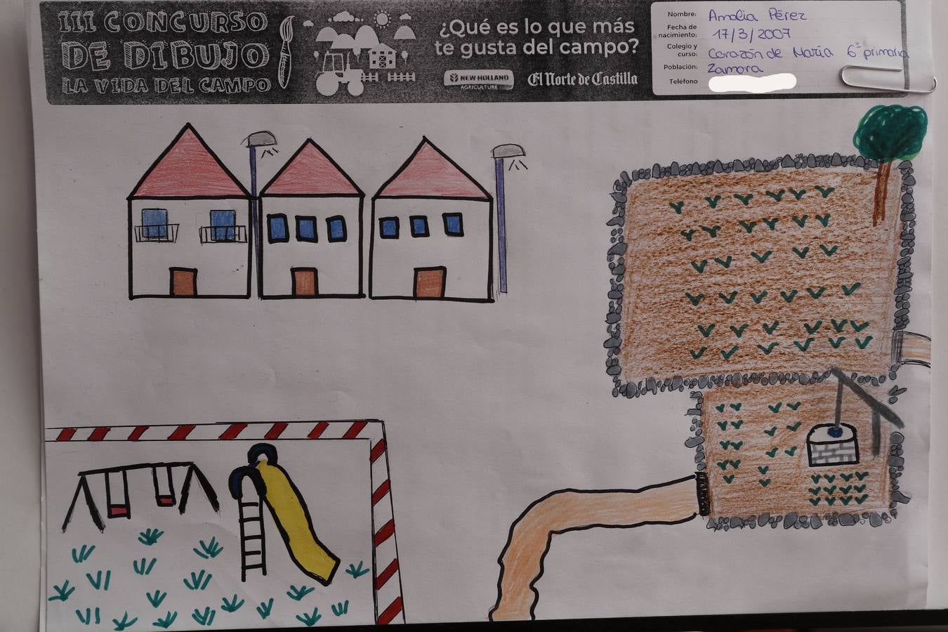 Fotos: Trabajos de 6º de Primaria en la modalidad de dibujo del III Concurso de Dibujo y Cómic &#039;La vida del campo&#039;