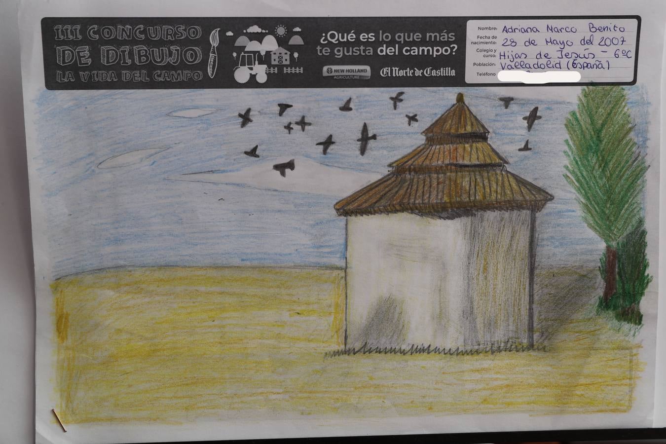 Fotos: Trabajos de 6º de Primaria en la modalidad de dibujo del III Concurso de Dibujo y Cómic &#039;La vida del campo&#039;