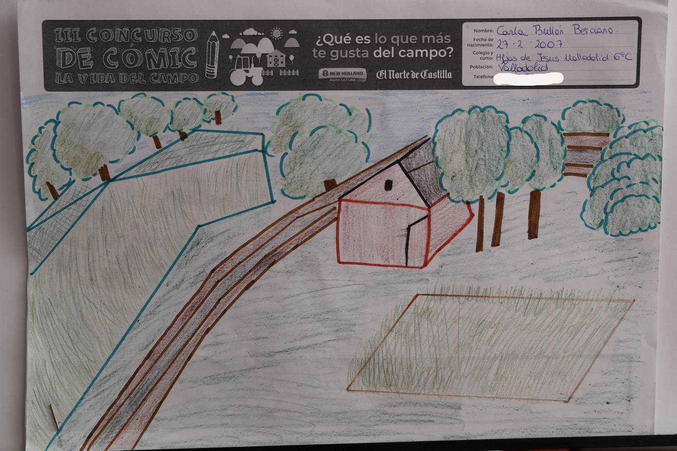 Fotos: Trabajos de 6º de Primaria en la modalidad de dibujo del III Concurso de Dibujo y Cómic &#039;La vida del campo&#039;