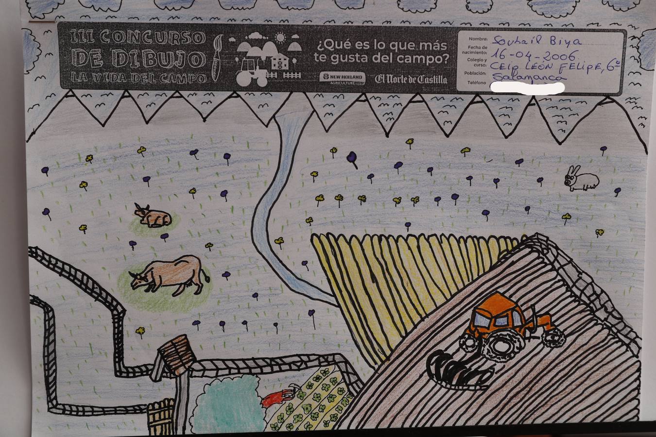 Fotos: Trabajos de 6º de Primaria en la modalidad de dibujo del III Concurso de Dibujo y Cómic &#039;La vida del campo&#039;