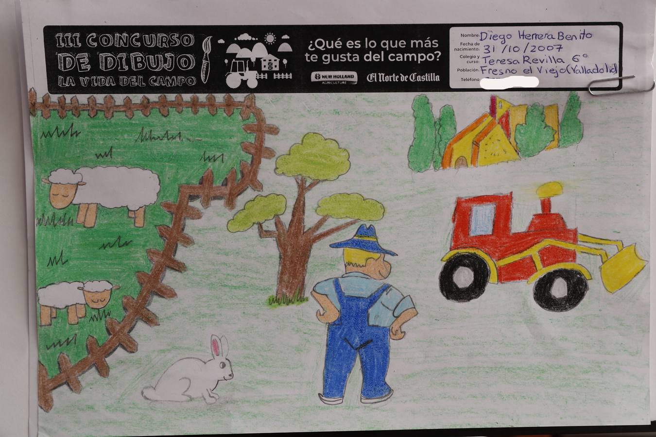 Fotos: Trabajos de 6º de Primaria en la modalidad de dibujo del III Concurso de Dibujo y Cómic &#039;La vida del campo&#039;