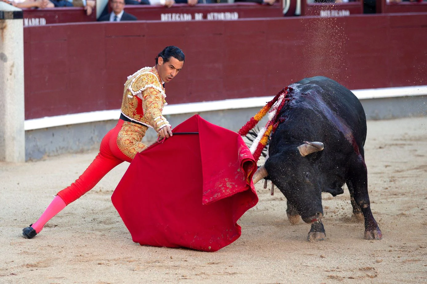 La ganadería leonesa debuta en San Isidro, sirve un toro extraordinario y un conjunto de interés ante 14.000 personas que se dieron cita en la Feria de San Isidro