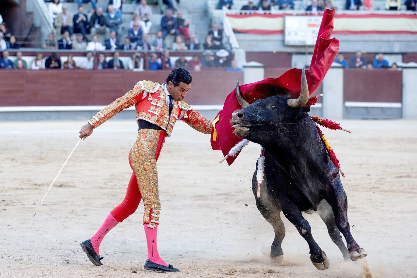 La ganadería leonesa debuta en San Isidro, sirve un toro extraordinario y un conjunto de interés ante 14.000 personas que se dieron cita en la Feria de San Isidro