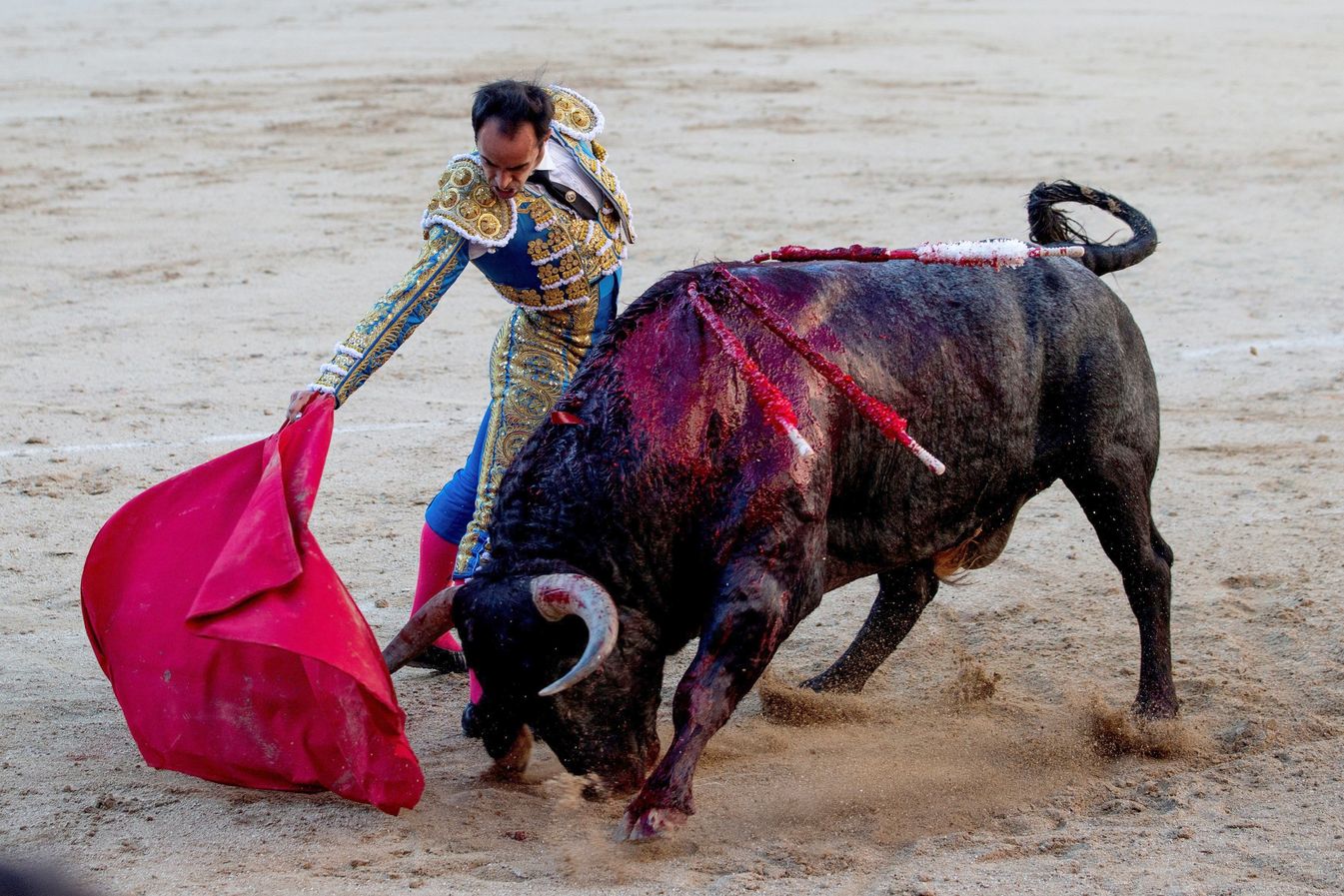 La ganadería leonesa debuta en San Isidro, sirve un toro extraordinario y un conjunto de interés ante 14.000 personas que se dieron cita en la Feria de San Isidro