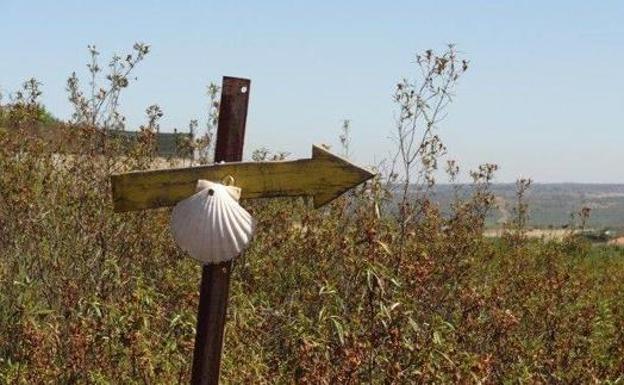 Nuevo folleto del Camino de Santiago. 