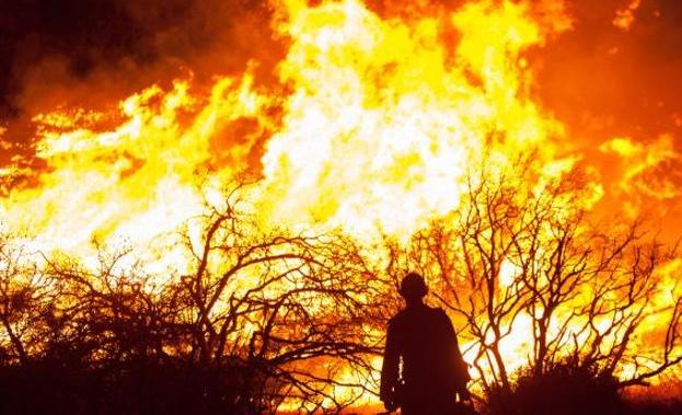 Imagen de archivo de un incendio forestal. 