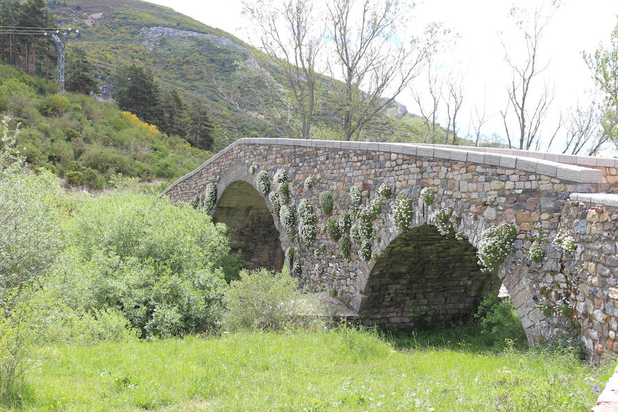 Este enclave declarado en el año 2005 reserva de la biosfera se sitúa en el norte de la provincia de León, limitando con Asturias. Cuenta con tres municipios Cármenes, Vegacervera, y Lugueros,