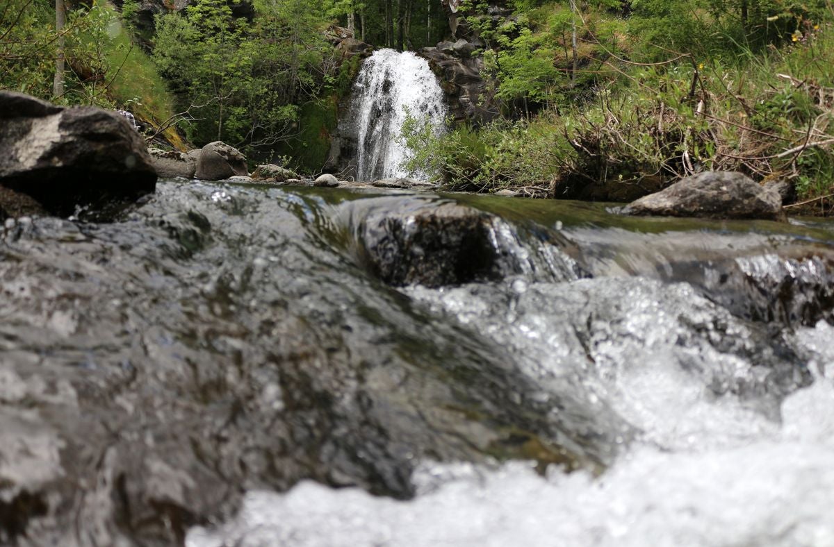 Este enclave declarado en el año 2005 reserva de la biosfera se sitúa en el norte de la provincia de León, limitando con Asturias. Cuenta con tres municipios Cármenes, Vegacervera, y Lugueros,