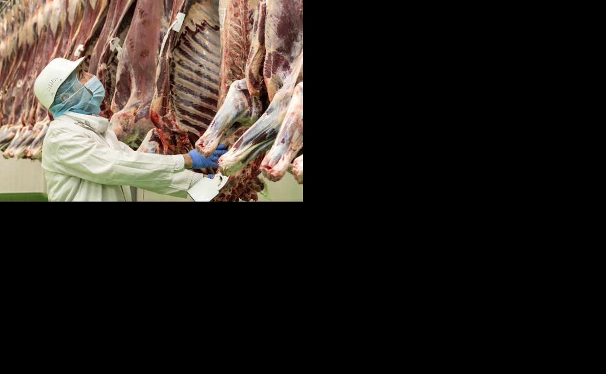El bajo consumo de carne de vacuno baja la cotización y atasca las explotaciones